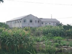 上海企业厂房遭强拆，企业主多次诉讼誓讨公正！