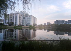 多学科协同发展，全景梳理淮南师范学院综合专业办学格局